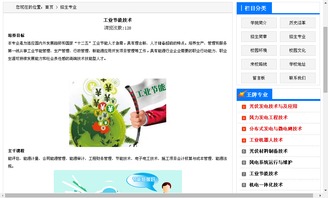 软件开发中的网络推广发布策略与技能训练要点